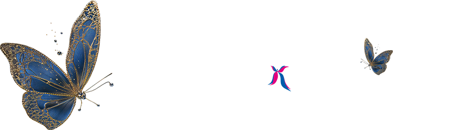 ߶˶Ի