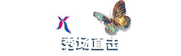 �㳡ֱ��